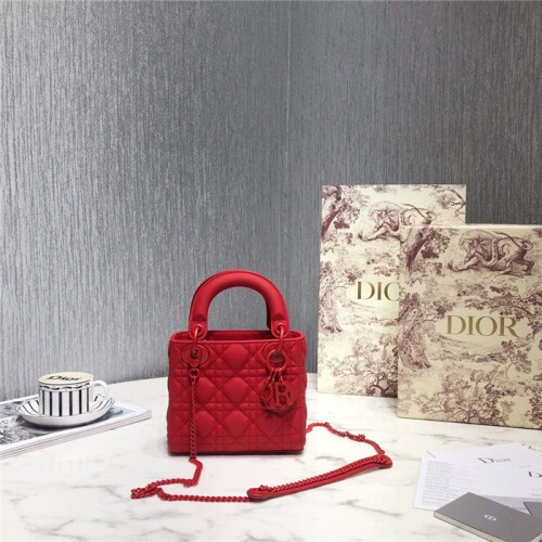 Dior 디올 레이디 17CM D0560