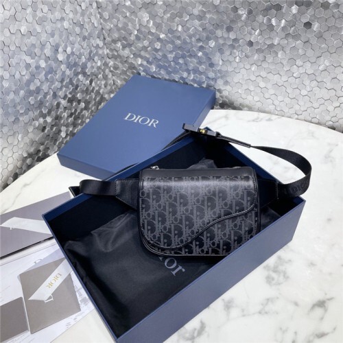 Dior 디올 새들백&힙색 D9857