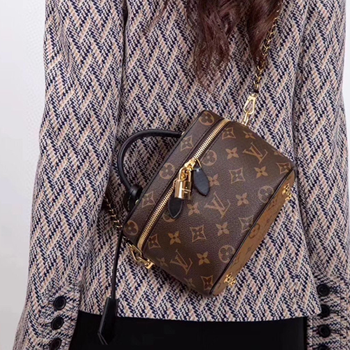 Louis Vuitton 루이비통 베니티 PM M45165